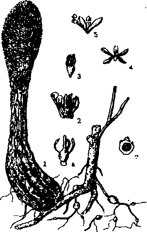 TÍCH DƯƠNG